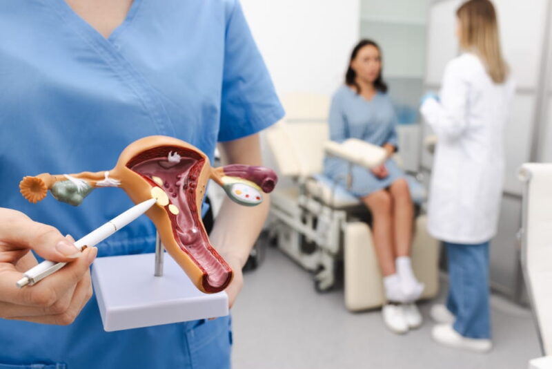 Gynecologist pointing uterine leiomyomas on anatomical model of uterus while female patient's gynecological consultation. Uterine fibroid, myoma